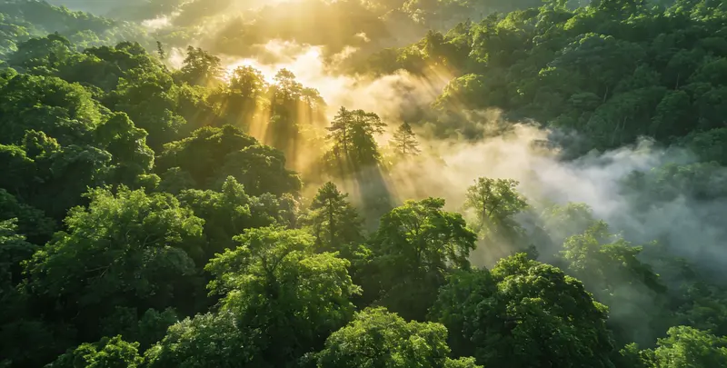 玉溪肺癌靶向120基因检测（组织）图片1